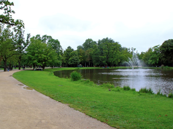 A pond in Vondelpark, Amsterdam