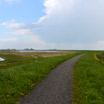 The raised bike path along the Ijsselmeer on the way to Marken