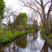 A canal in the small town of Zuiderwoude